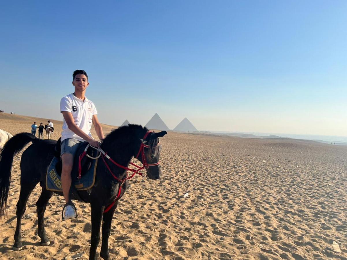 King Of The Pyramids Le Caire